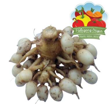 Kunyit Putih - 250 Gram