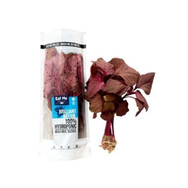 Eat Me Brand - Sayur Bayam Merah Hidroponik