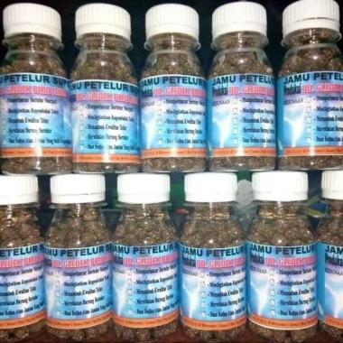 JAMU MERPATI KOLONG DAN BALAP