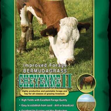 Biji rumput pakan ternak - Benih Rumput pakan ternak