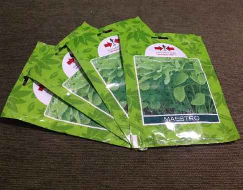 26000 seeds Benih Bibit Bayam Maestro cap Panah Merah SP original packing