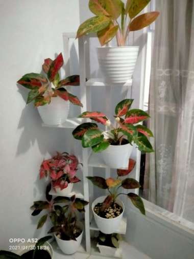 Rak Susun Bunga Berdiri Warna Putih