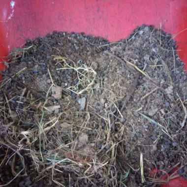 pupuk kandang kotoran domba kambing 500 gram