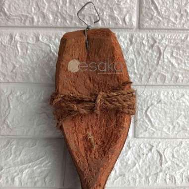 Media tempel keki anggrek Bayi Anggrek