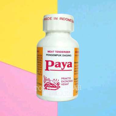 PAYA PENGEMPUK DAGING 70g | MEAT TENDERIZER