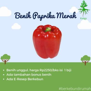 BIJI PAPRIKA, BENIH PAPRIKA MERAH, BIJI PAPRIKA MERAH, BENIH PAPRIKA