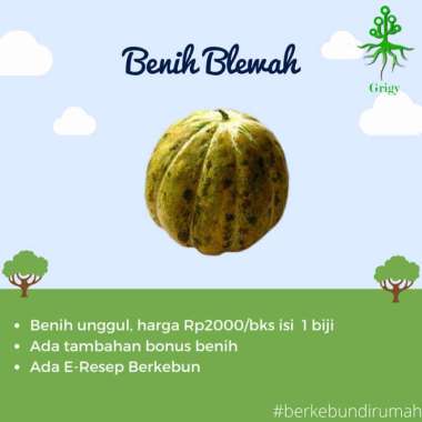 BENIH BLEWAH, BIBIT BLEWAH, BIBIT BUAH BLEWAH, BLEWAH, BIJI BLEWAH