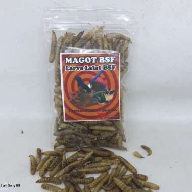 MAGGOT KERING LARVA LALAT BSF PAKAN BURUNG IKAN LOUHAN ARWANA PAKAN REPTIL
