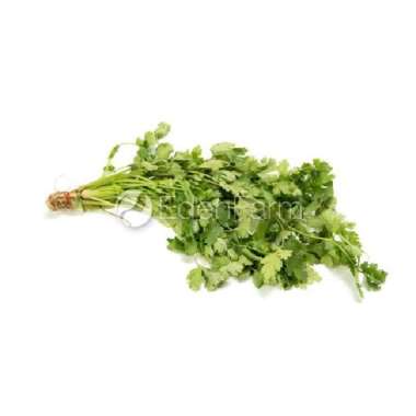Daun Wansui/ Daun Ketumbar Segar 1/2 Kg - 500 Gram