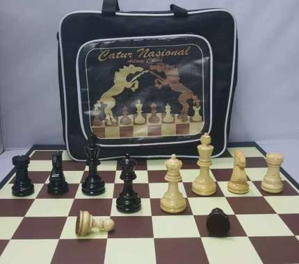 Catur Lipat Papan dan bidak Kayu + tas Multicolor