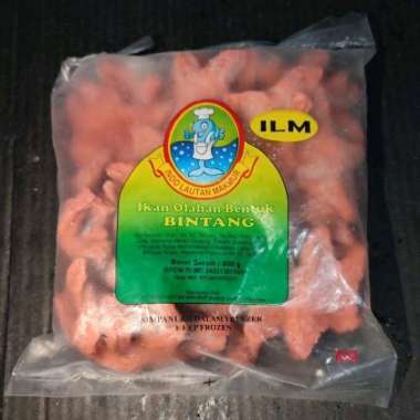 ILM OLAHAN IKAN BINTANG 500GR