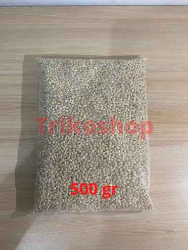 Jali Jali / Barley / Jelai / Hanjeli Import - 500 gr Biasa