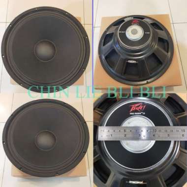 speaker peavey 15 inch pro rider 15 fullrange