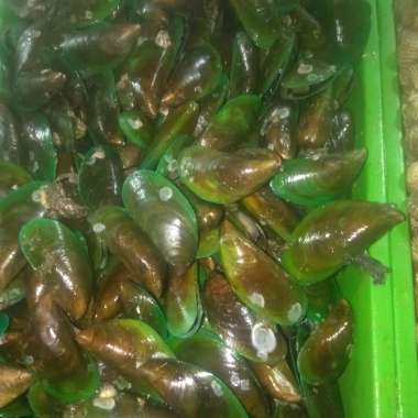 kepiting kerang ijo 1kg