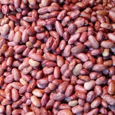 KACANG MERAH SEGAR / SAYURAN SEGAR 500gr