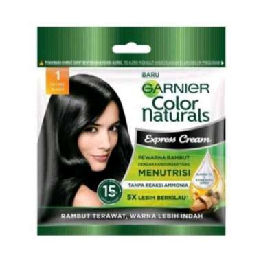 Garnier Colour Naturals Hair Colour Sachet Hitam
