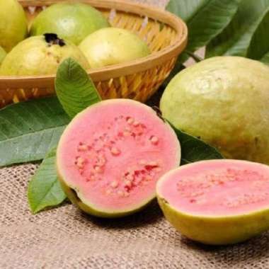 Jambu biji merah - jambu merah - jambu merah super - 1kg