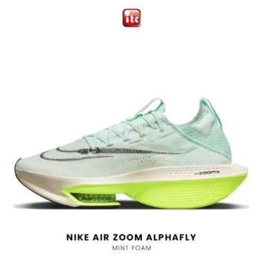 Jual Nike Air Zoom Alphafly Next 100 