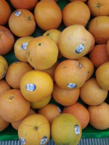 Buah Jeruk Sunkist Navel Australia