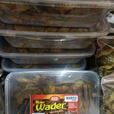 WADER CRISPY KHAS BLITAR 200gr