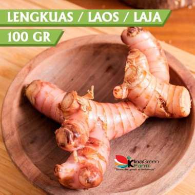 Lengkuas / Laos / Laja 100 Gram Inagreen Farm Bandung