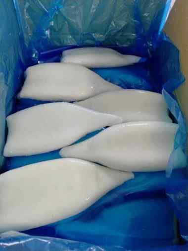 CUMI ASIN BABY SEGAR - SEAFOOD KERING FROZEN BEKU SEGAR FRESH KECIL IKAN SOTONG HALAL Cumi Tube - 1 