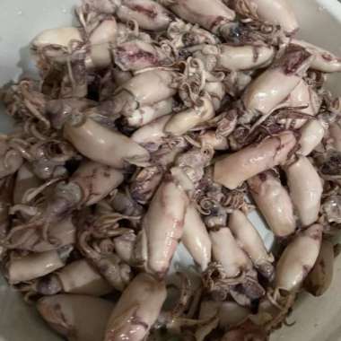 CUMI ASIN BABY SEGAR - SEAFOOD KERING FROZEN BEKU SEGAR FRESH KECIL IKAN SOTONG HALAL Cumi Asin - 50