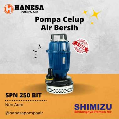 Shimizu SPN 250 BIT Pompa Celup Non Otomatis