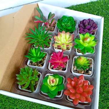 kaktus latex kaktus SUKULEN bunga plastik artificial dekorasi rumah warna TANPA POT