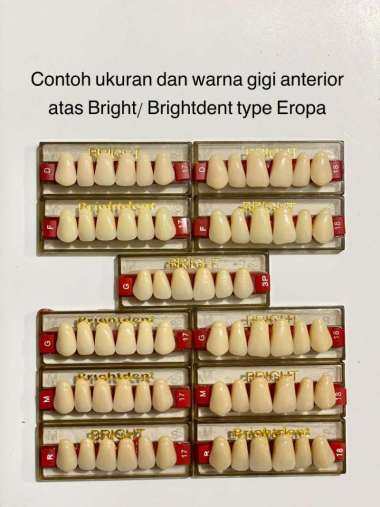 Gigi palsu depan atas dan bawah merk Bright Depan atas G 16