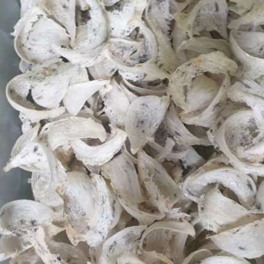 sarang burung walet kotor mangkok 1gram