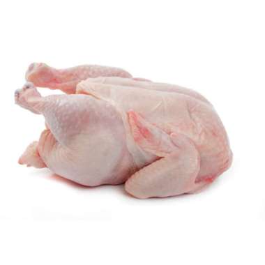 Daging Ayam Broiler 1 Ekor 500 - 600gr Karkas