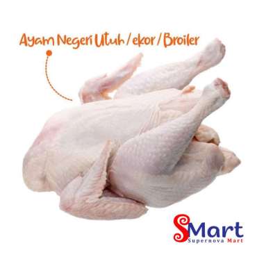 Ayam Potong Utuh [1 Ekor / 1.5 - 2 kg]
