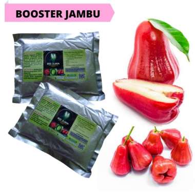 Pupuk Buah Jambu Harga Terbaru Mei 2021 Blibli