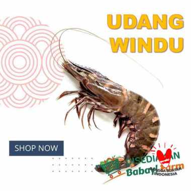Udang Windu 250 500 gr / 1 Kg 1 Kg