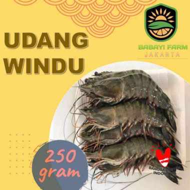 Udang Windu 250 500 gr / 1 Kg 250 gram