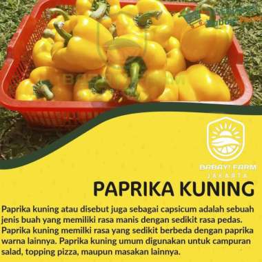 paprika kuning 1 Buah