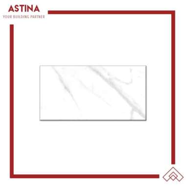 Keramik Dinding Platinum Toronto Rec 30x60 cm GREY