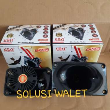 Tweeter Audax AX 5000 W ( waterproof ) Neomydium Multicolor