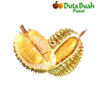 DUTA BUAH DURIAN SULTAN (+-1,5- 2 kg/buah)