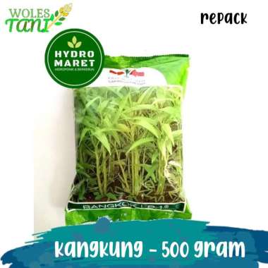 Bangkok 500 Gram Benih Kangkung Nasional