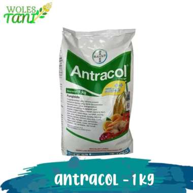 Antracol 1 Kg Fungisida Propineb Multicolor