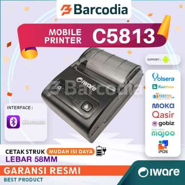 Mobile Printer Bluetooth Thermal 58mm Iware C5813 RPP02N