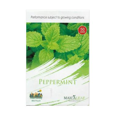 Maica Leaf Daun Peppermint Benih Tanaman [50 Benih]