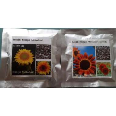 Bunga Matahari Harga / Jual Murah 1 Kg Benih Biji Bunga Matahari Yellow Prado Murah Di Lapak Mitra Bibit Tanaman Bukalapak : Kebun bunga matahari samas merupakan tempat wisata baru di bantul yang menyajikan keunikan dan keindahan tersendiri.