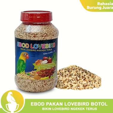 Jual Love Bird Online Terbaru April 2021 Blibli