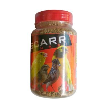 Jual Jual Burung Kenari Online Baru Harga Termurah Februari 2020