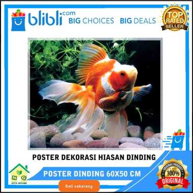 Nasya Gaulcomp Poster Dinding Hiasan Dekorasi Pajangan Wall Gambar Ikan Koi Mas Koki Aquarium IKAN K