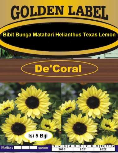 Bibit Bunga Matahari Helianthus Texas Lemon | Benih Bunga Matahari