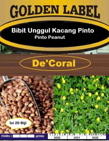 Bibit Unggul Kacang Pinto | Benih Kacang Pinto | Pinto Peanut
